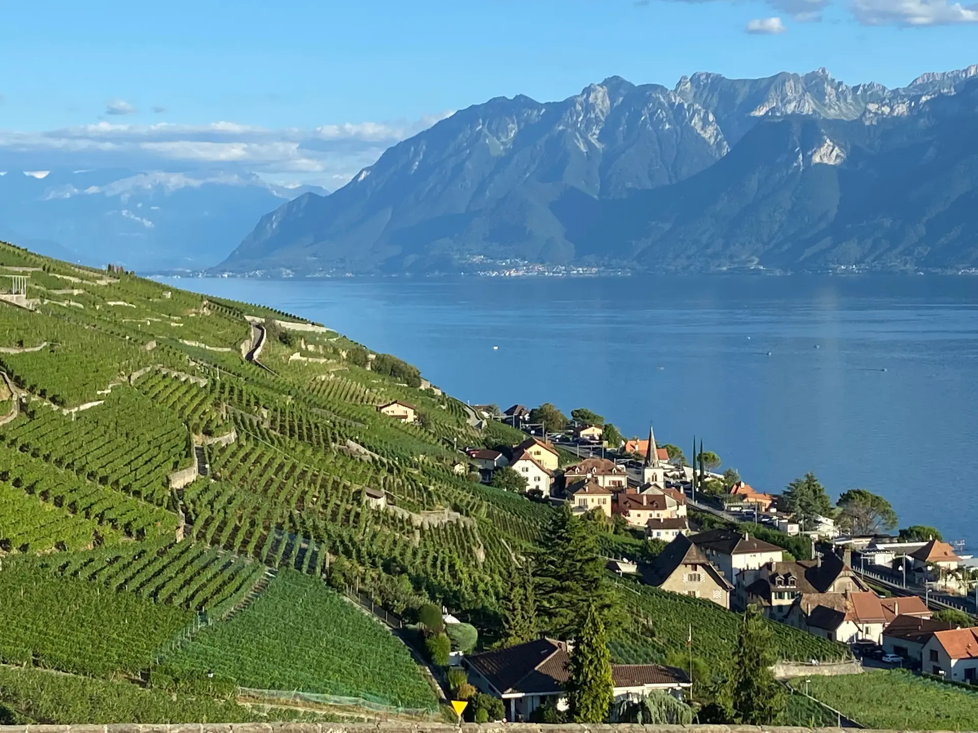 Lavaux Vineyard Terraces and Swiss Wine