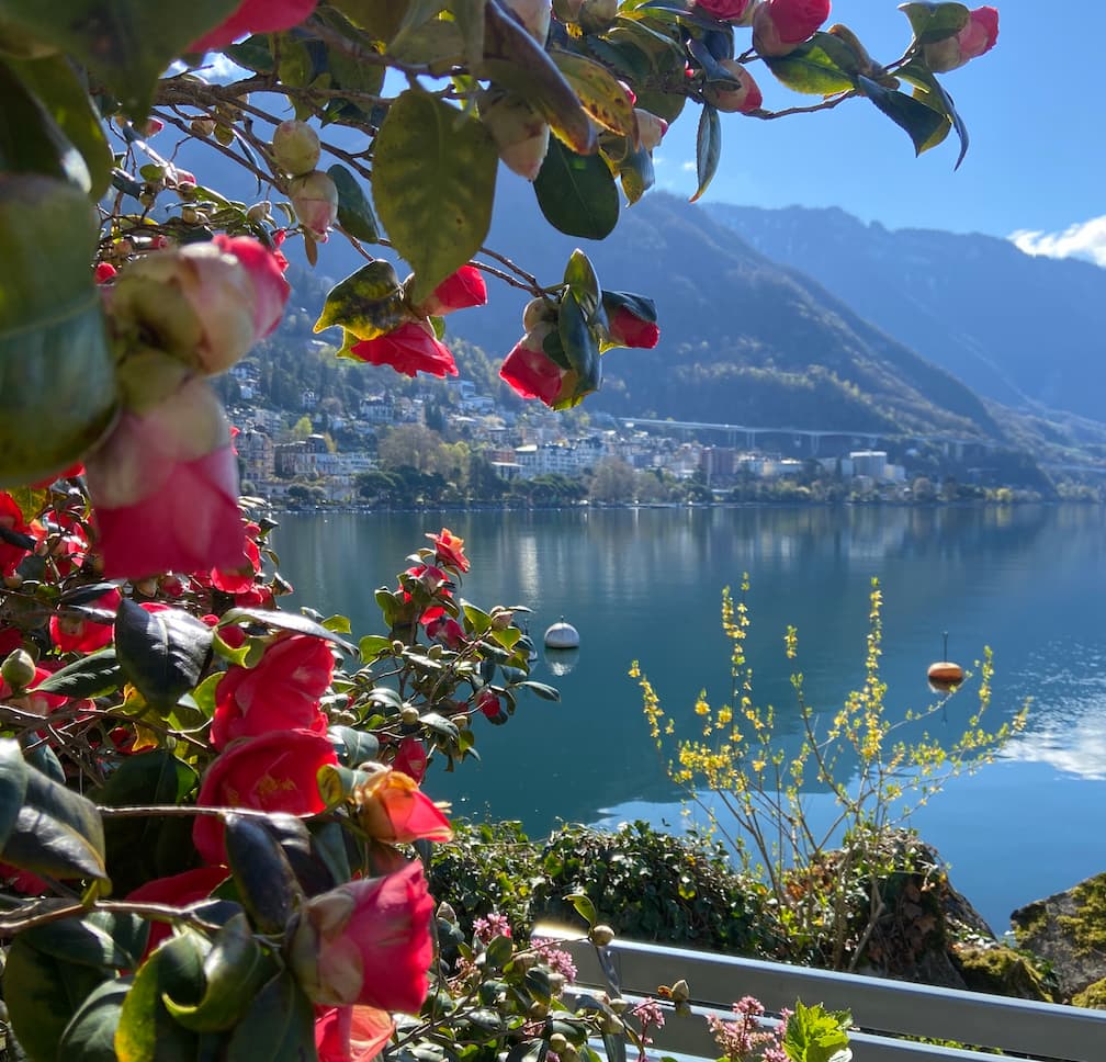 Montreux And Chateau De Chillon The Swiss Riviera