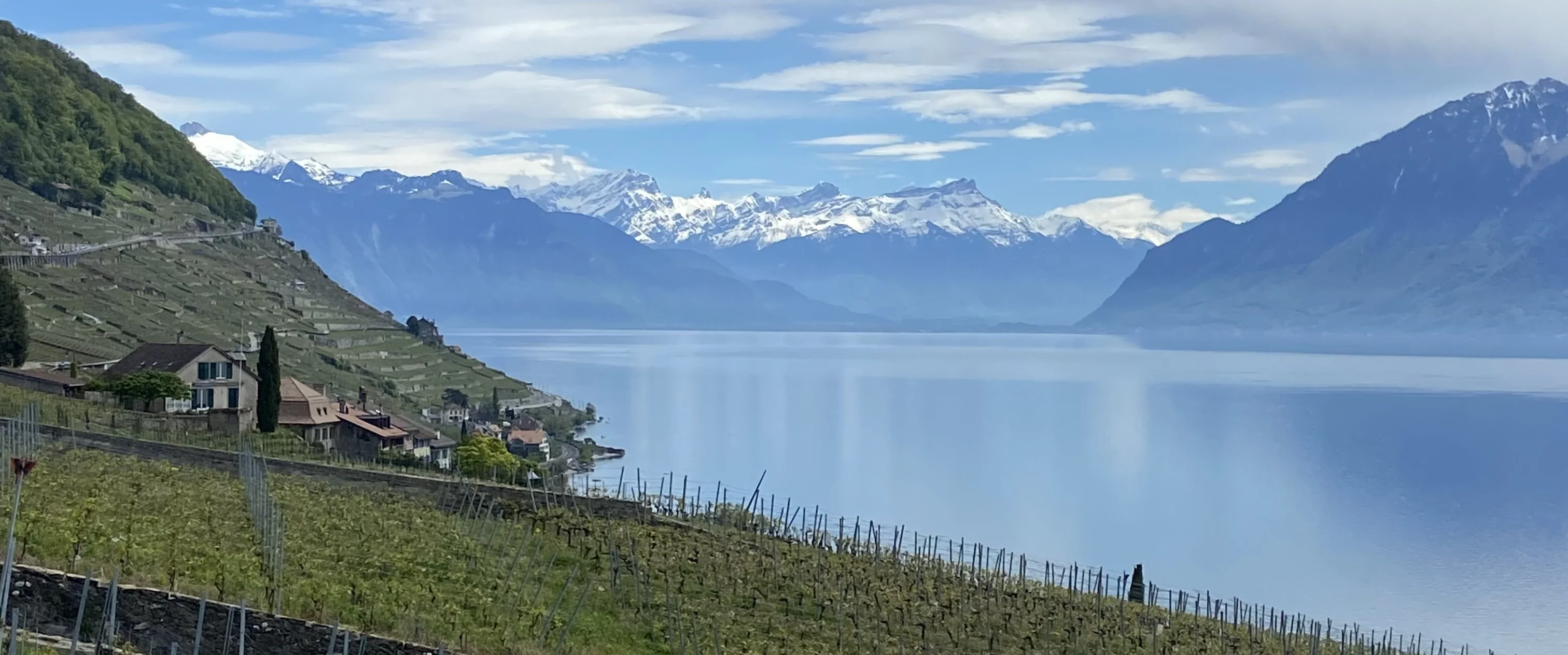 Lavaux Vineyard Terraces, the most picturesque location on lake Leman