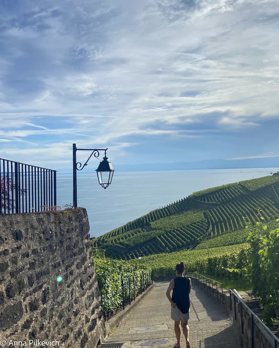 Swiss Wine Tasting
