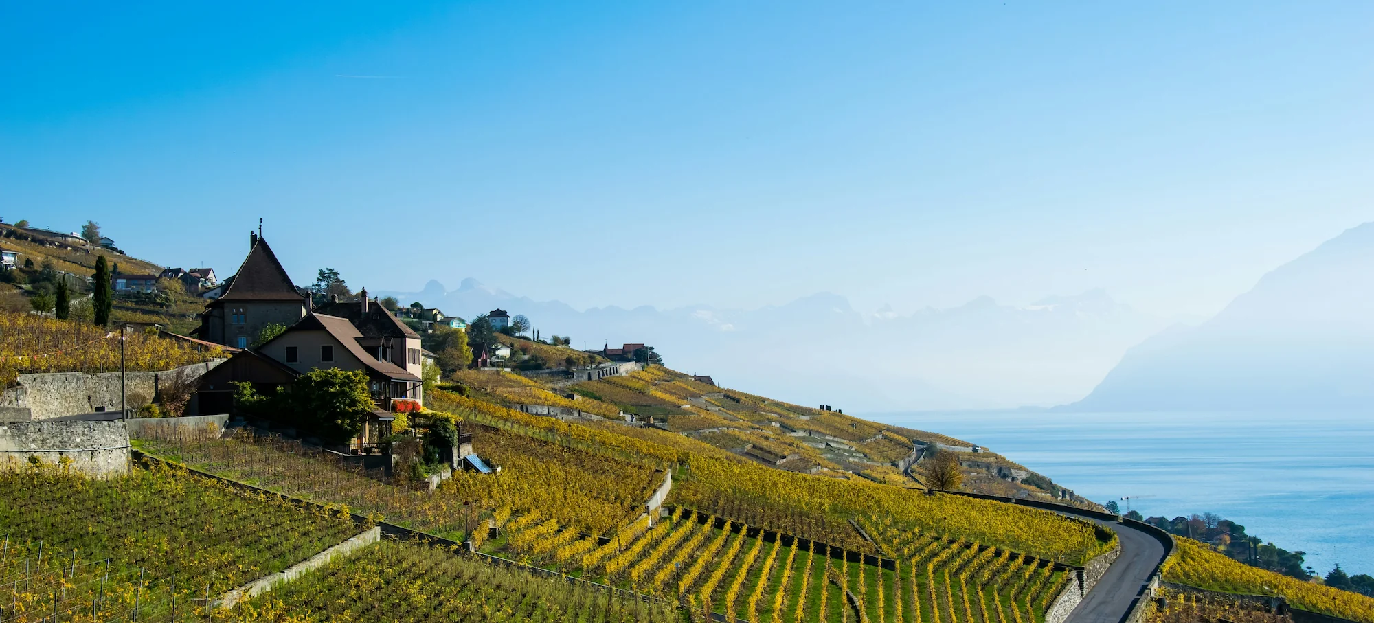 Liquid Gold of the Swiss Riviera. Lavaux Wine Guide.