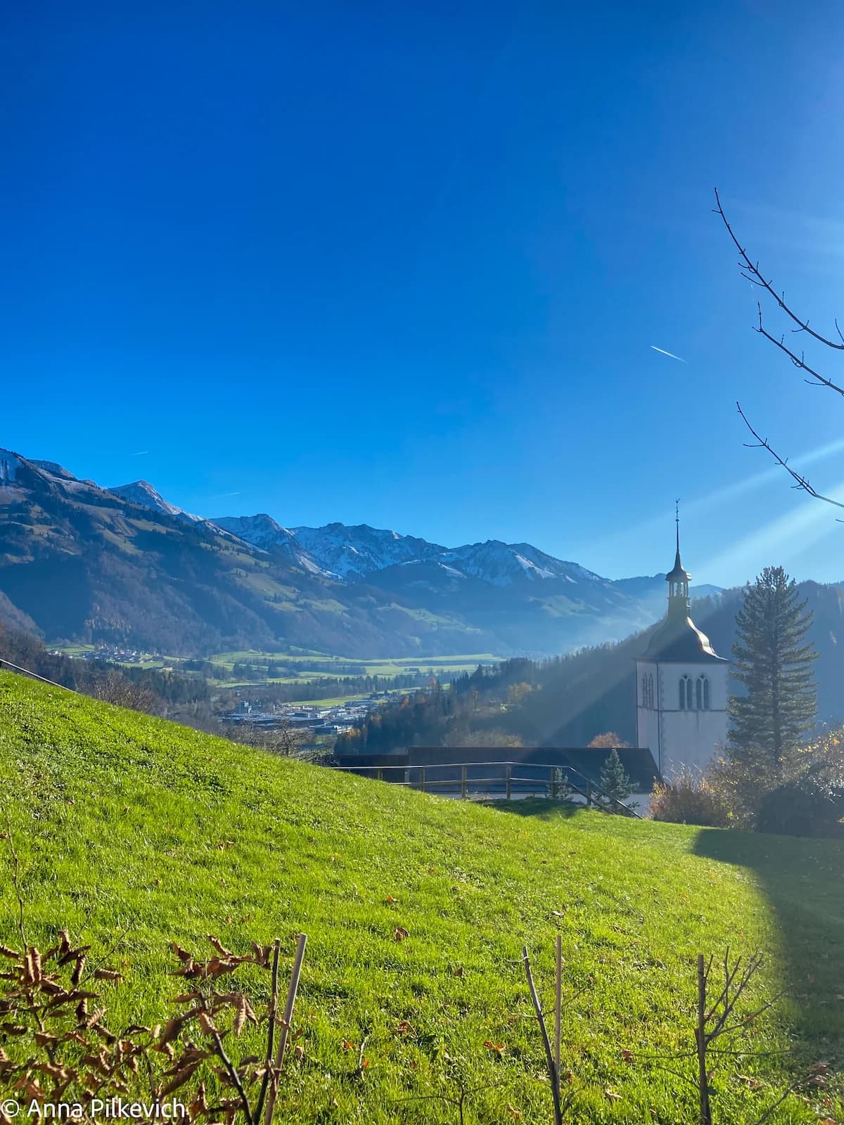 Le Gruyere Aop