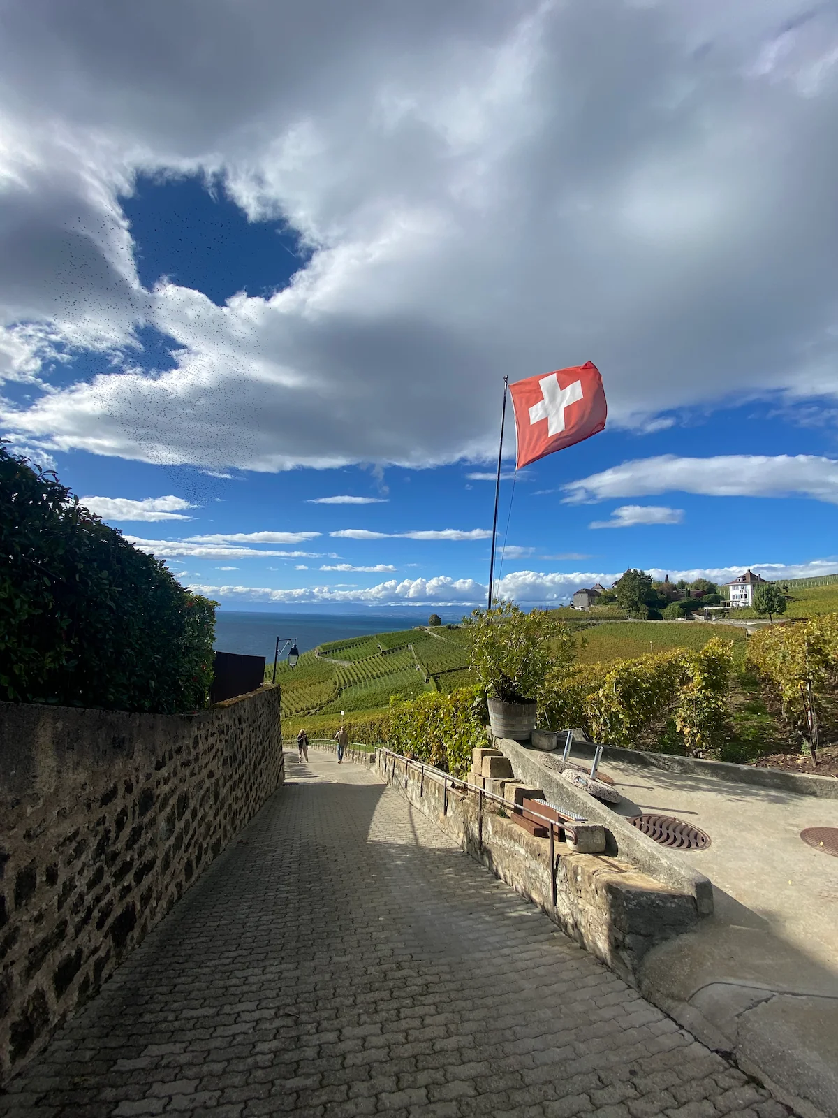French Switzerland vs. Interlaken & the Alps: How to Visit "Multiple Countries" in One Trip