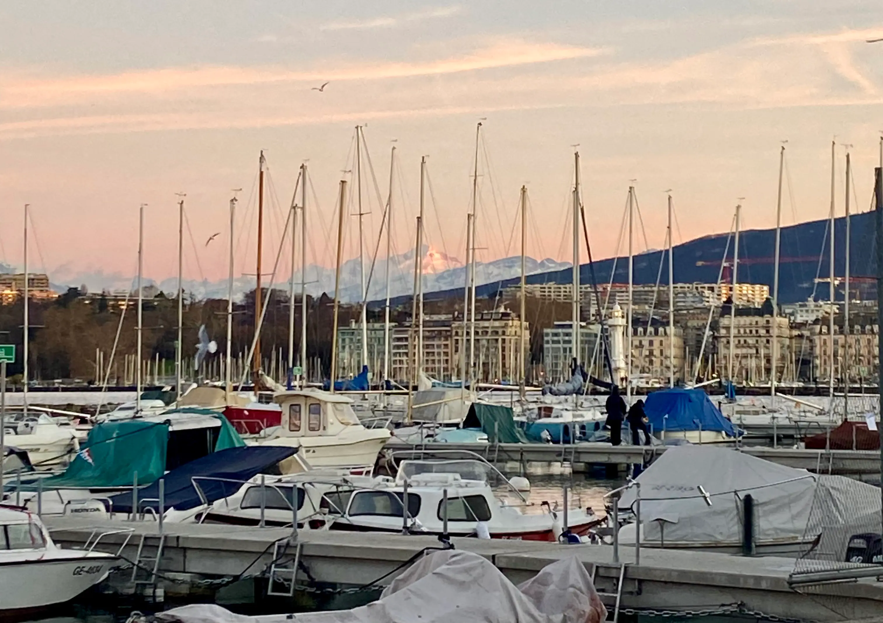 The Snow Capped Peak Of Mont Blanc Over Leman Lake In Geneva