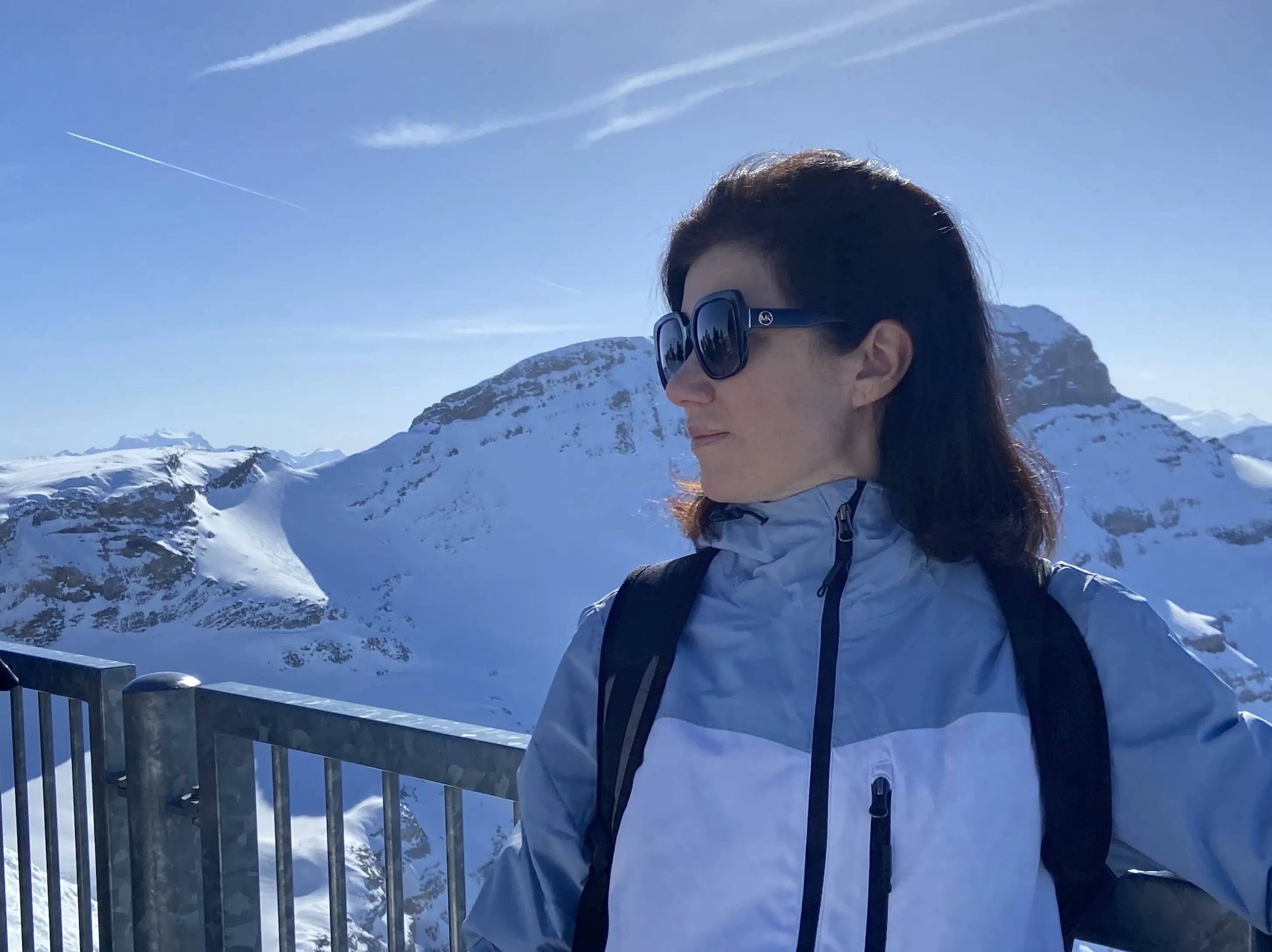 glacier-3000-private-tour - Tour Photo