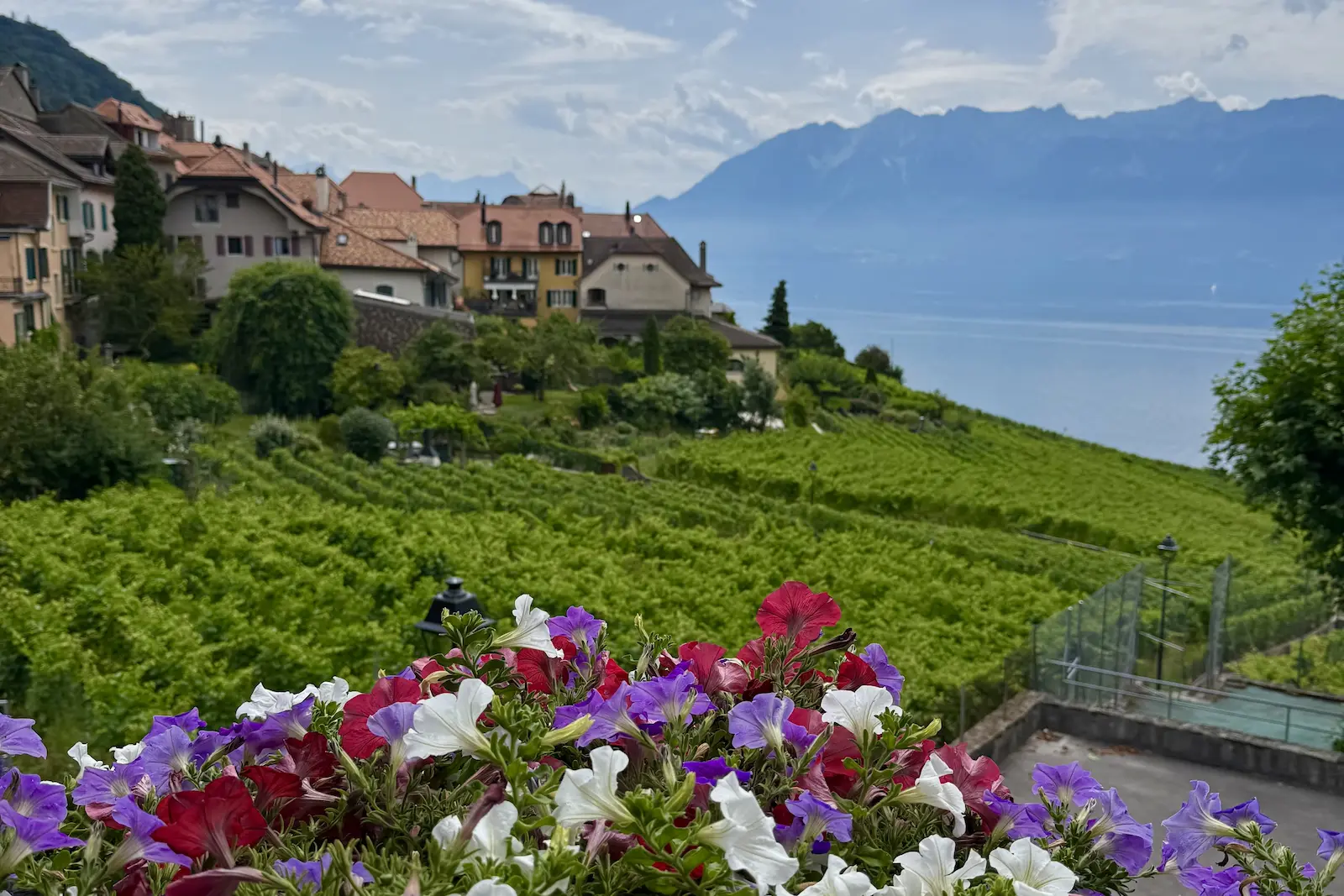 lavaux-wine-tour - Tour Photo