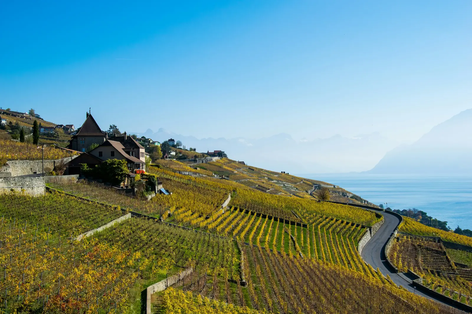 Lavaux Vineyards Private Tour Switzerland