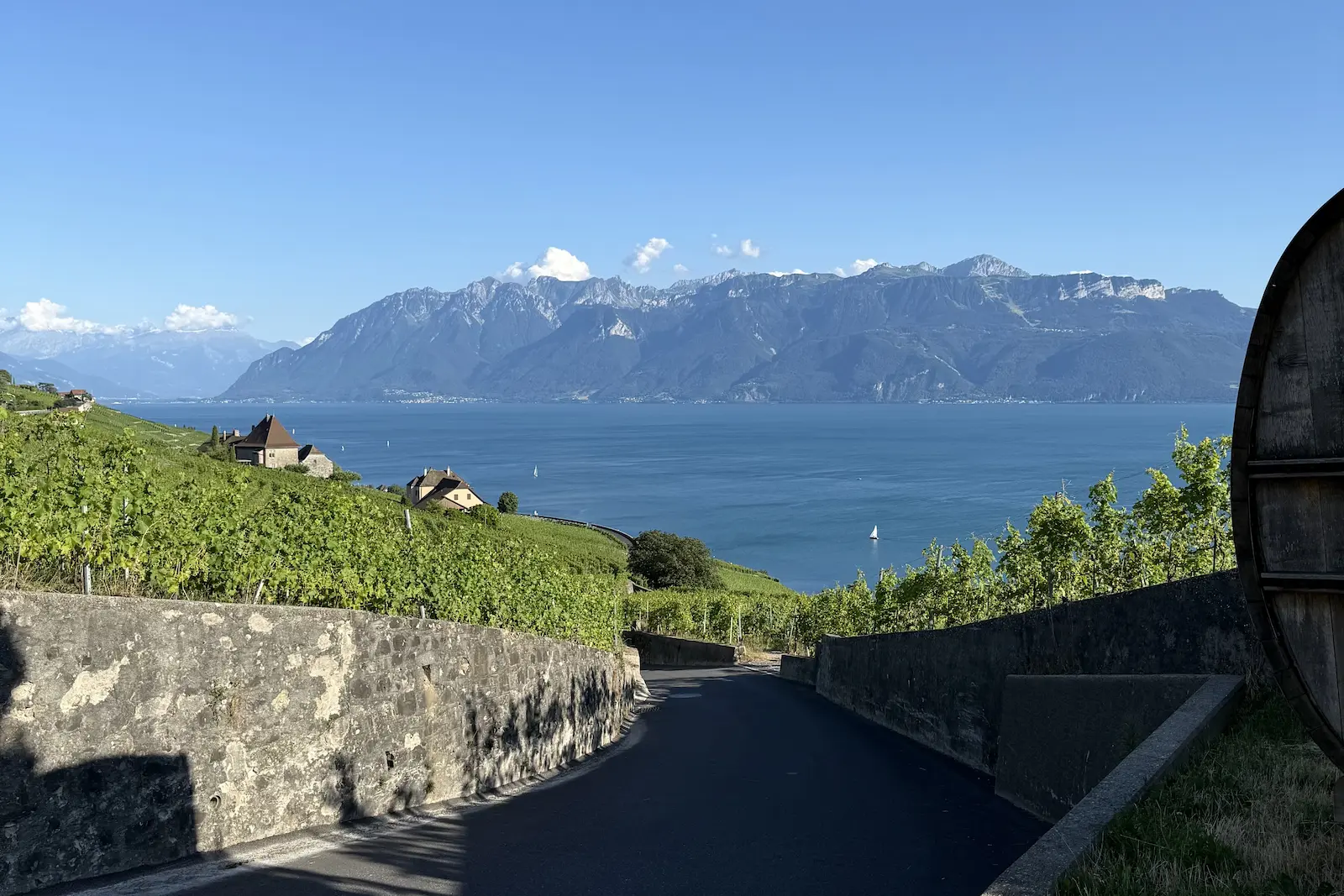 Panoramic View Of The Lavaux Vineyards Overlooking The Lake On A Private Switzerland Wine Tour