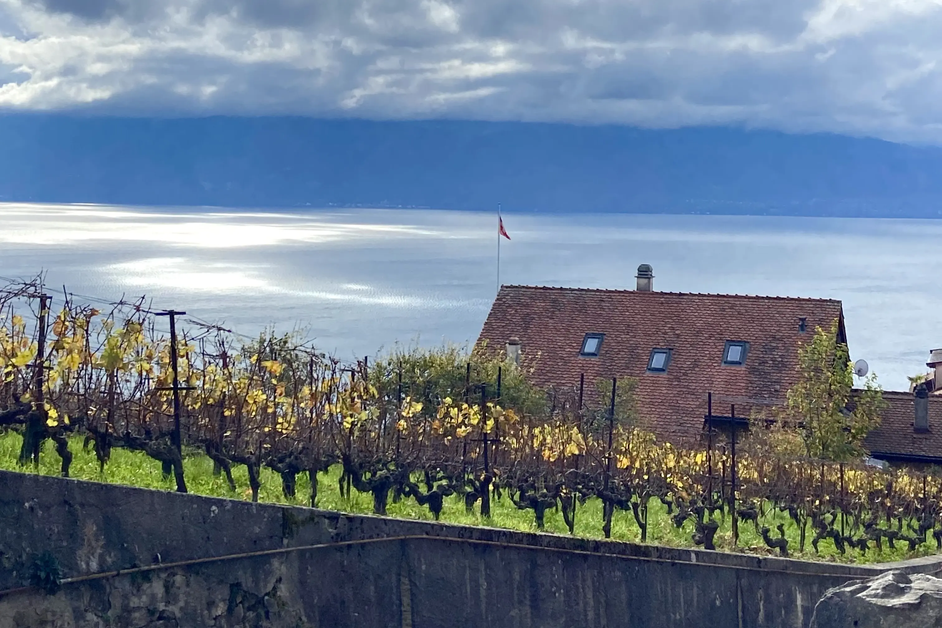 Private Tour In Lavaux Vineyards From Lausanne