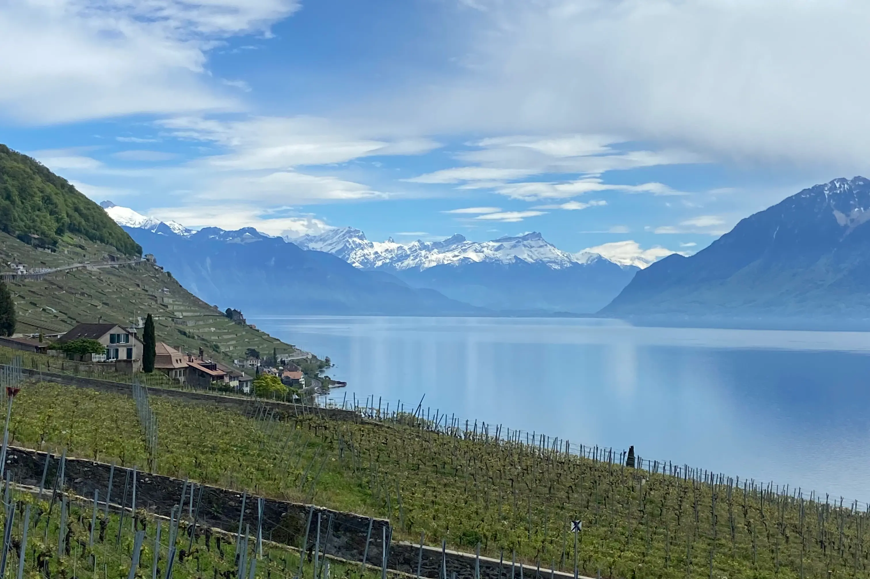 Private Tour In Lavaux With A Guide