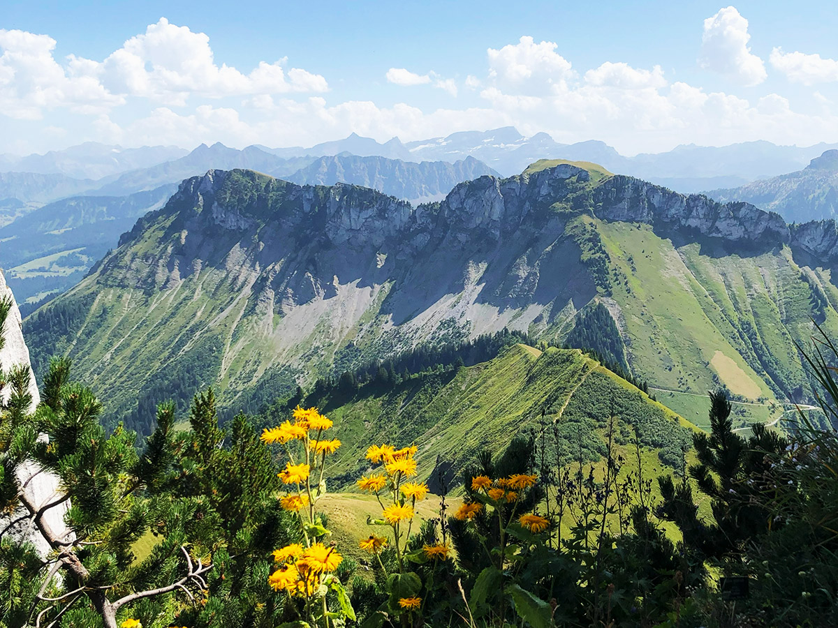 Private Tour Guide In Montreux Switzerland