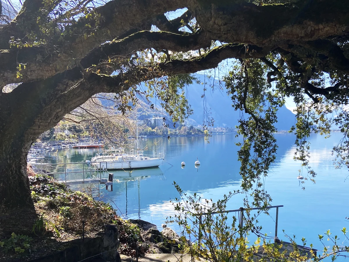 Private Tour Guide In Montreux