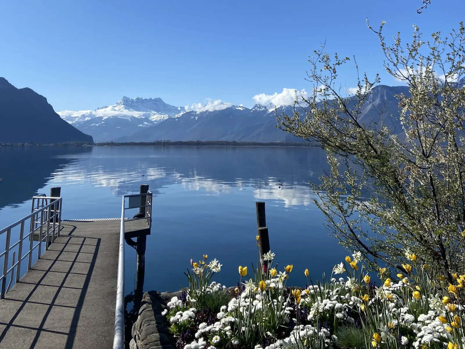 Views On Dents Du Midi On The Private Walking Tour In Montreux