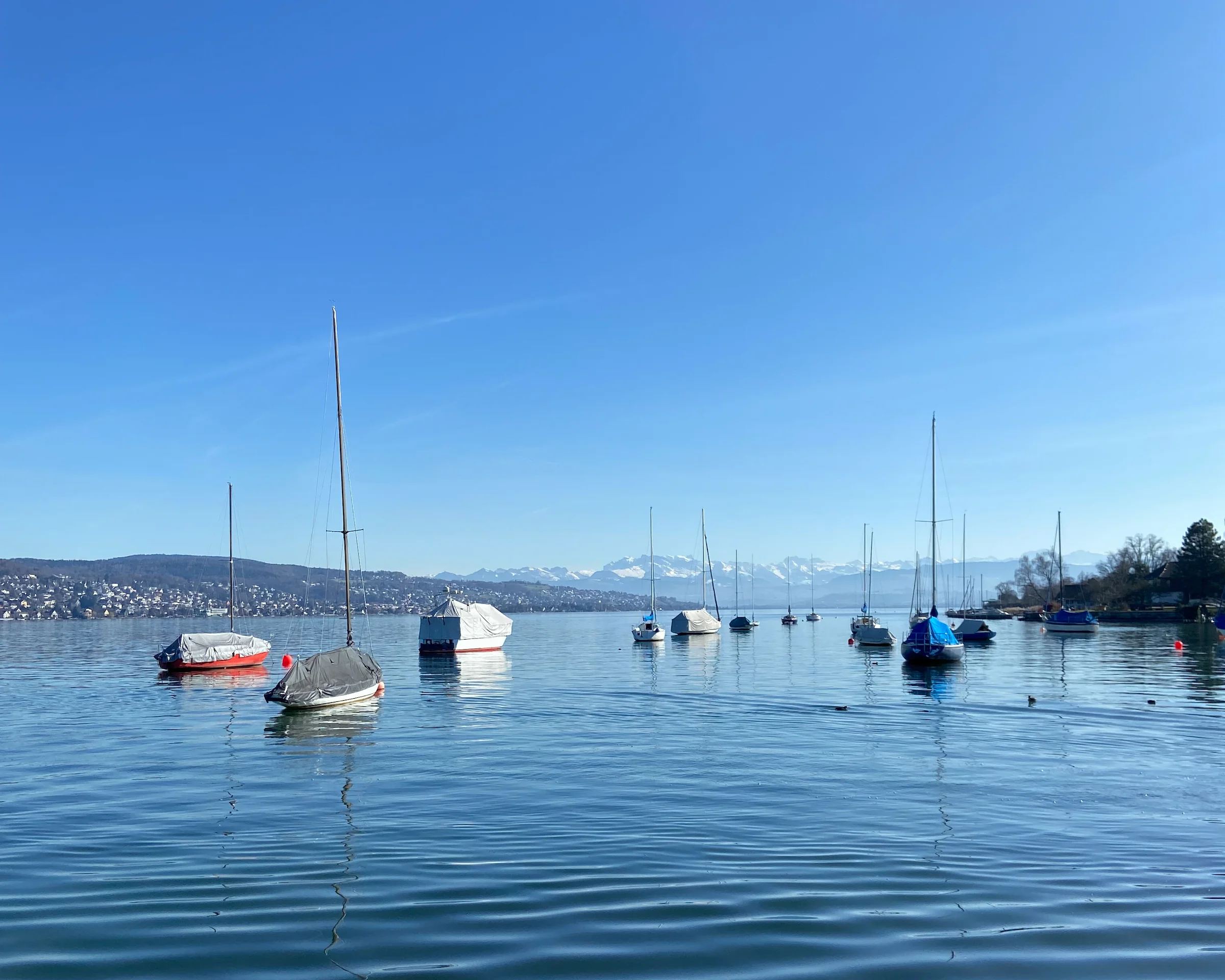 zurich-private-tour - Tour Photo